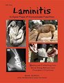 Laminitis An Equine Plague of Unconscionable Proportions Healing and Protecting Your Horse Using Natural Principles  Practices