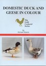Domestic Duck and Geese in Colour (The Gold Cockerel Series)