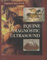 Equine Diagnostic Ultrasound