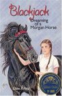Blackjack Dreaming of a Morgan Horse