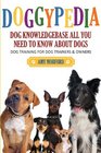 Doggypedia All You Need to Know about Dogs