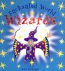 Wizards An Enchanted World Book