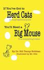 If You've Got to Herd Cats You'll Need a Big Mouse A Congregational Guide to a Compelling Vision