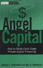Angel Capital How to Raise EarlyStage Private Equity Financing
