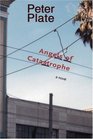 The Angels of Catastrophe A Novel