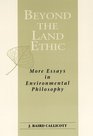 Beyond the Land Ethic More Essays in Environmental Philosophy