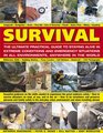 Survival: The Ultimate Practical Guide to Staying Alive in Extreme Conditions and Emergency Situations: Essential guidance on the skills needed to ... abroad, with 1400 photographs and diagrams