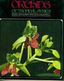 Orchids of Tropical Africa