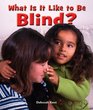 What Is It Like to Be Blind