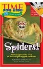 Spiders