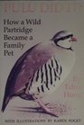 Pulu Did It How a Wild Partridge Became a Family Pet