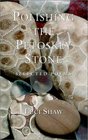 Polishing the Petoskey Stone Selected Poems