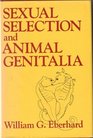 Sexual Selection and Animal Genitalia