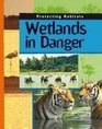 Wetlands in Danger