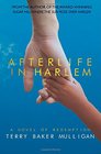 Afterlife in Harlem A Novel of Redemption