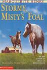 Stormy, Misty's Foal (Misty, Bk 3)