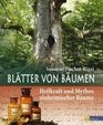 Bltter von Bumen