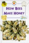Bees Make Honey