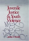Juvenile Justice and Youth Violence