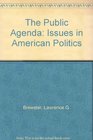 The Public Agenda Issues in American Politics