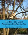 The Sky's The Limit Adventures of McGee the Cat