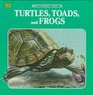 Turtles Toads and Frogs
