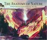 The Anatomy of Nature Geology  American Landscape Painting 18251875