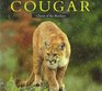 Cougar Ghost of the Rockies