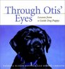 Through Otis' Eyes  Lessons from a Guide Dog Puppy