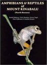 Amphibians  Reptiles of Mount Kinabalu