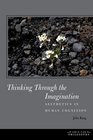 Thinking Through the Imagination Aesthetics in Human Cognition