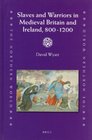 Slaves and Warriors in Medieval Britain and Ireland 800 1200