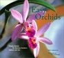 Easy Orchids Simple Secrets for Glorious GardensIndoors and Out