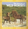 The Wonder of Wild Horses