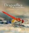 Dragonflies  Damselfies A natural history