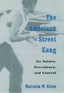 The American Street Gang Its Nature Prevalence and Control