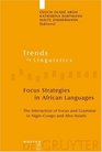 Focus Strategies in African Languages The Interaction of Focus and Grammar in NigerCongo and AfroAsiatic