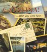 Catalina Wish You Were Here