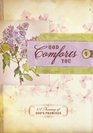 God Comforts You Promise Book