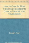 How to Care for More Flowering Houseplants