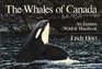 The Whales of Canada The Equinox Wildlife Handbook