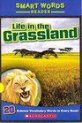 Life in the Grassland