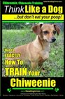 Chiweenie Chiweenie Training AAA AKC  Think Likwe a Dog  But Don't Eat Your Poop Chiweenie Breed Expert Dog Training Here's EXACTLY How To TRAIN  Training Chiweenie Books