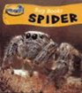 Bug Books Spider