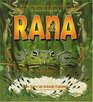 El Ciclo De Vida De La Rana / Life Cycle of a Frog