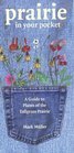 Prairie in Your Pocket A Guide to Plants of the Tallgrass Prairie