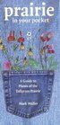 Prairie in Your Pocket: A Guide to Plants of the Tallgrass Prairie (Carolrhoda on My Own Books)