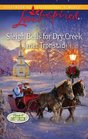 Sleigh Bells for Dry Creek (Return to Dry Creek, Bk 1) (Love Inspired, No 667)