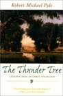 The Thunder Tree Lessons from and Urban Wildland