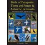 BIRDS OF PATAGONIA, TIERRA DEL FUEGO & ANTARCTIC PENINSULA : THE FALKLAND ISLANDS AND SOUTH GEORGIA / AVES DE PATAGONIA, TIERRA DEL FUEGO Y PENINSULA ANTARTICA : ISLAS MALVINAS Y GEORGIA DEL SUR